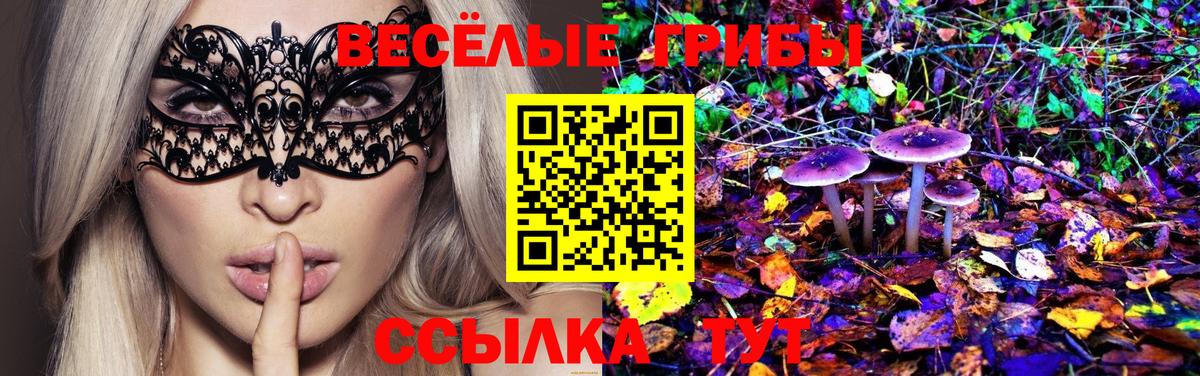 Псилоцибиновые грибы MAGIC MUSHROOMS Назарово